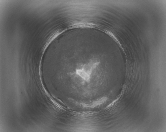 X0000056330893200509161706