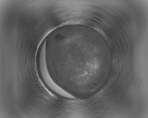 X0000056330894200509161706