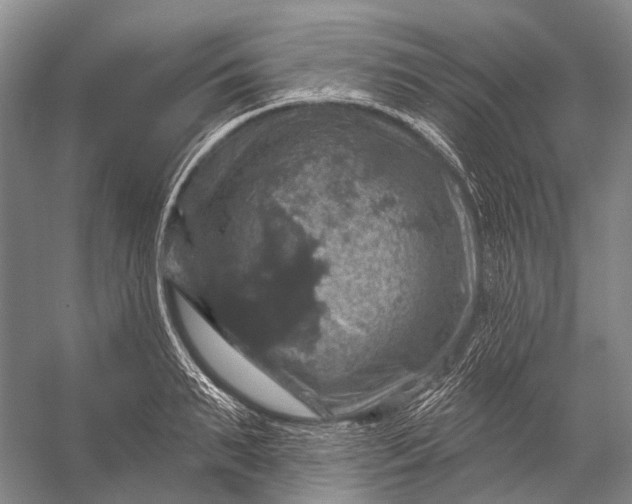 X0000056330895200509161706