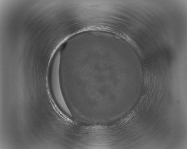 X0000056330896200509161706