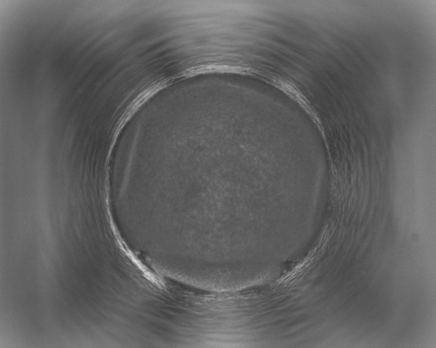 X0000056330898200509161706