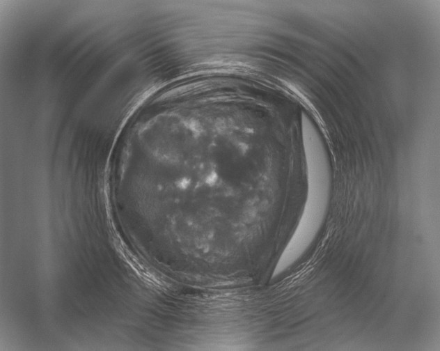 X0000056330899200509161706