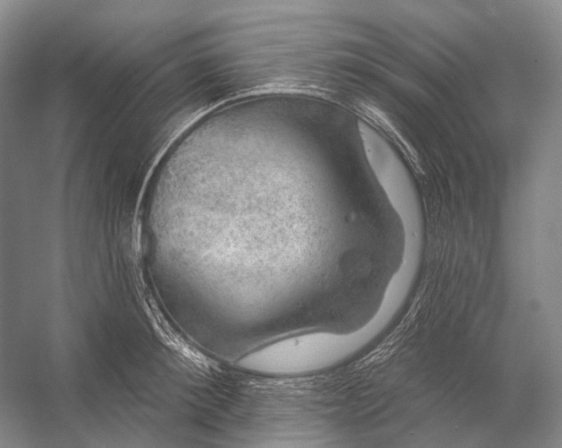 X0000056330900200509161706