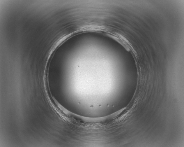 X0000056330901200509161706