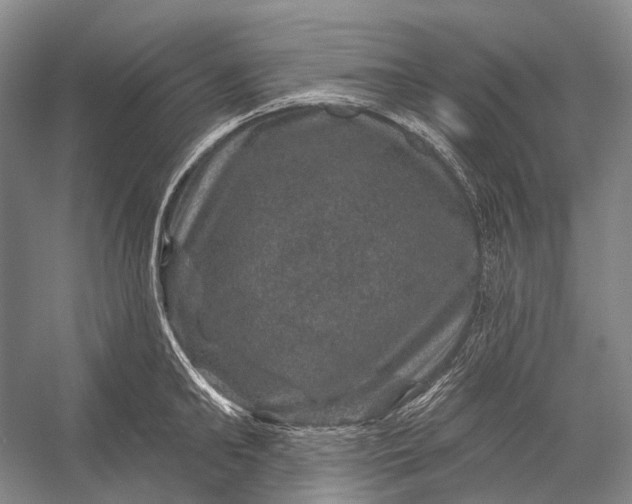 X0000056330902200509161706