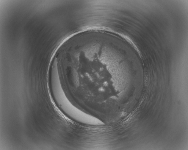 X0000056330903200509161706