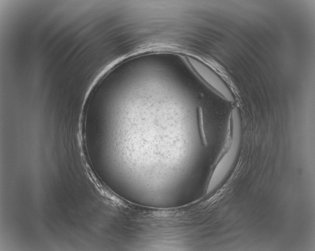 X0000056330904200509161706