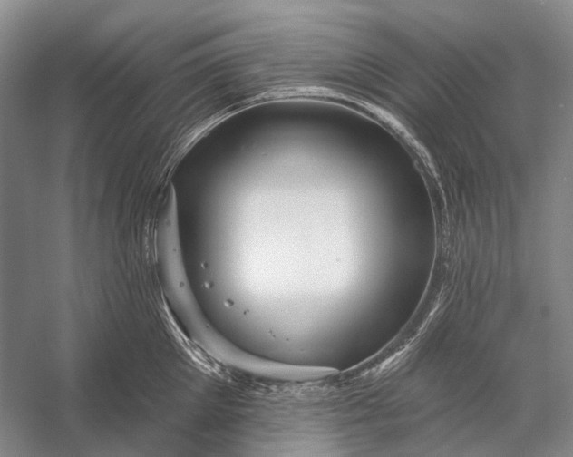 X0000056330905200509161706