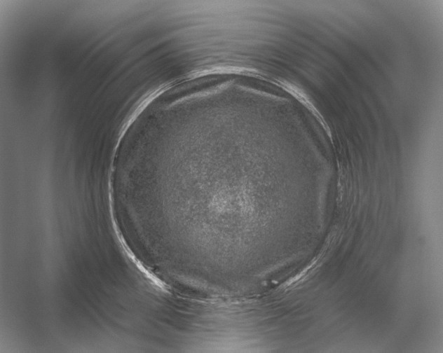 X0000056330906200509161706