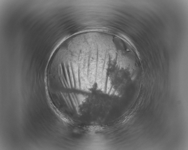 X0000056330907200509161706