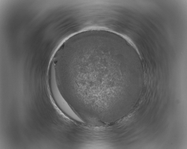 X0000056330911200509161706