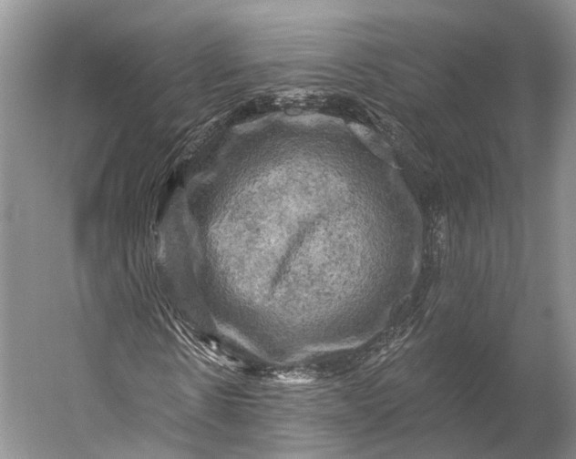 X0000056330914200509161705