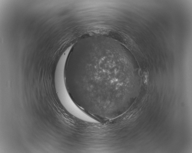 X0000056330915200509161705