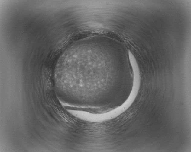 X0000056330916200509161705