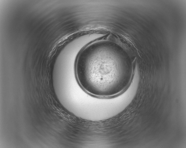 X0000056330920200509161705