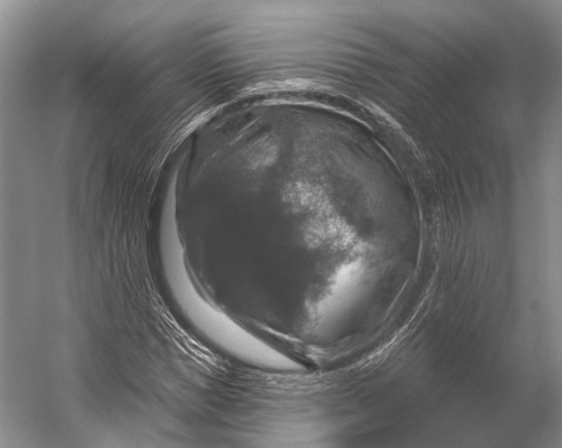 X0000056330921200509161705