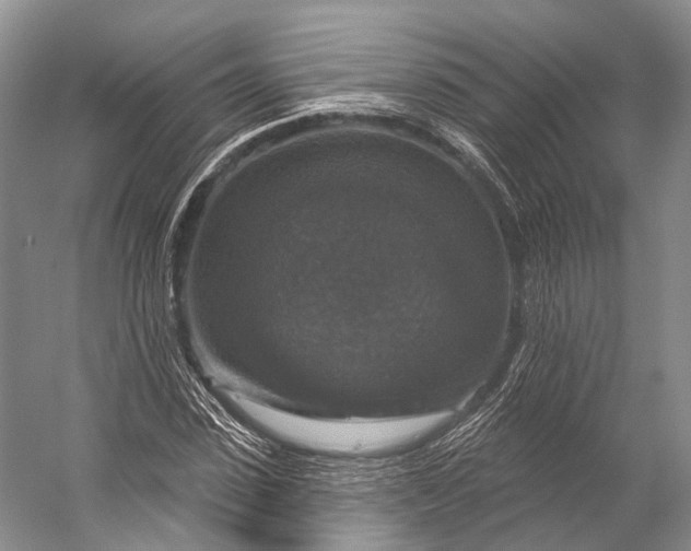 X0000056330923200509161705