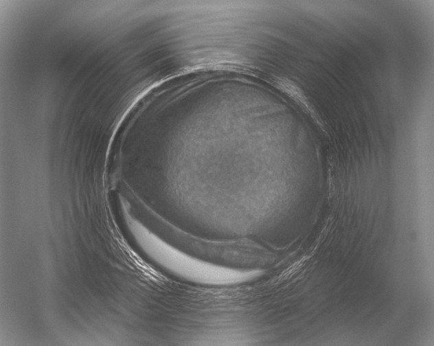 X0000056330924200509161705