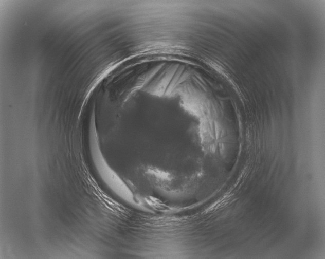 X0000056330925200509161705