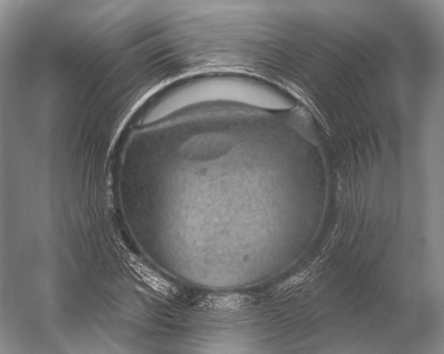 X0000056330926200509161705