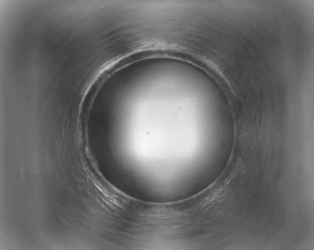 X0000056330927200509161705