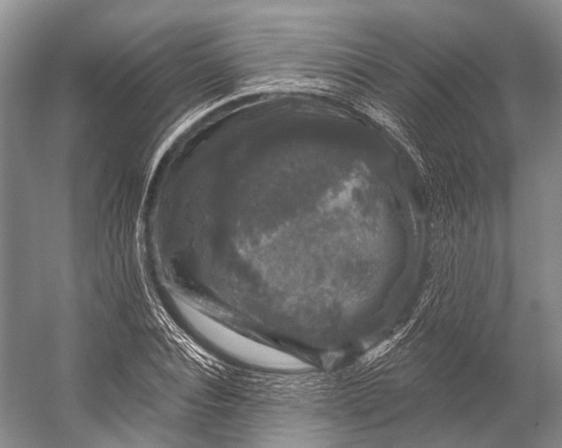 X0000056330928200509161705