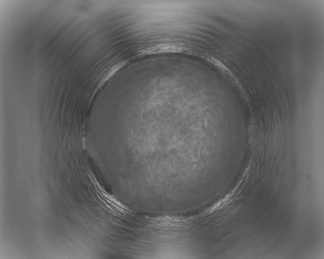 X0000056330929200509161705