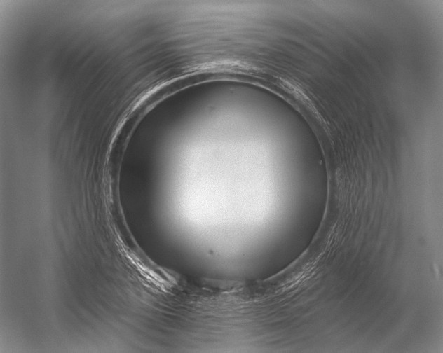 X0000056330931200509161705