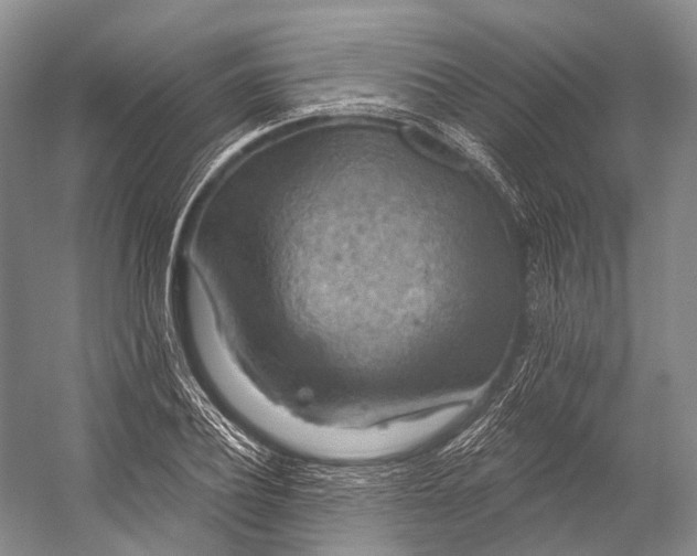 X0000056330932200509161705