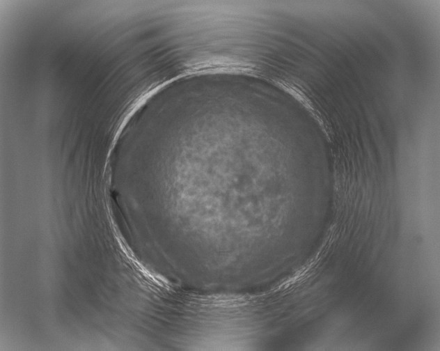 X0000056330933200509161705