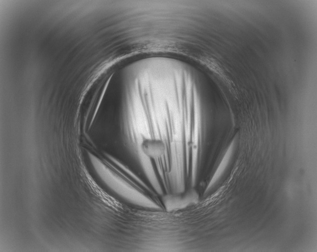 X0000056330934200509161705