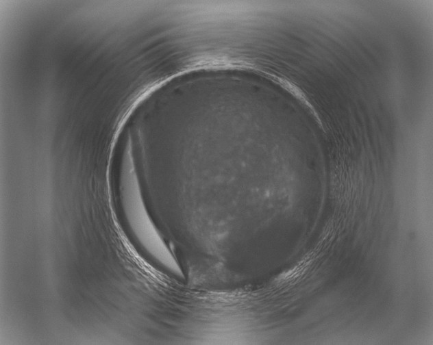 X0000056330935200509161705