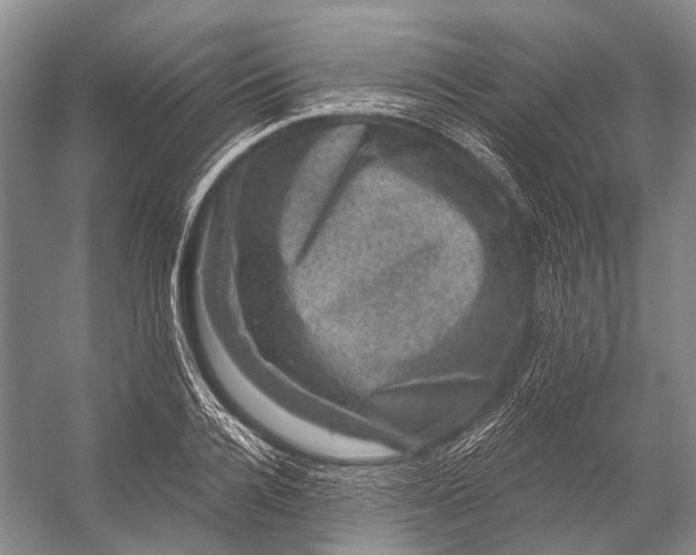 X0000056330936200509161705