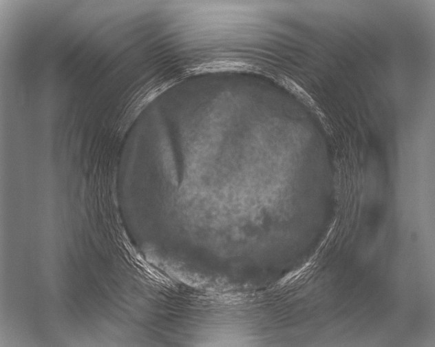 X0000056330937200509161705