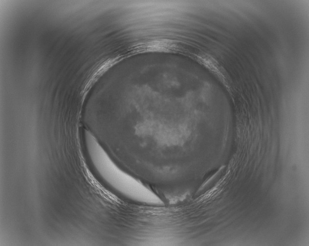 X0000056330938200509161706