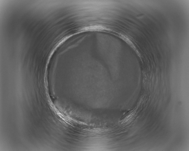 X0000056330939200509161706