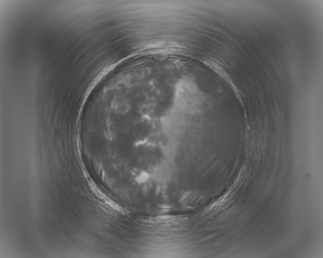 X0000056330941200509161706