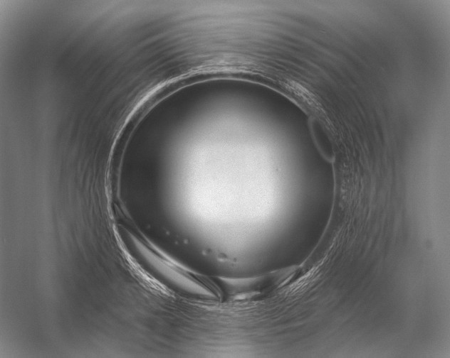 X0000056330942200509161706