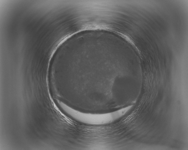 X0000056330943200509161706