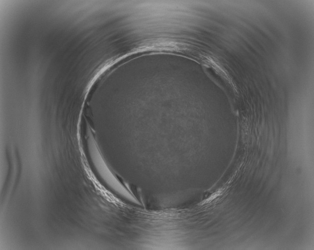 X0000056330944200509161706