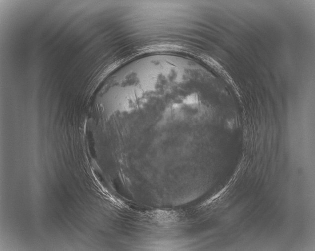 X0000056330945200509161706