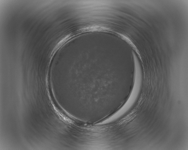 X0000056330946200509161706