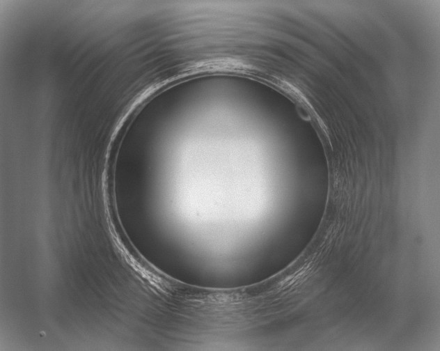 X0000056330947200509161706