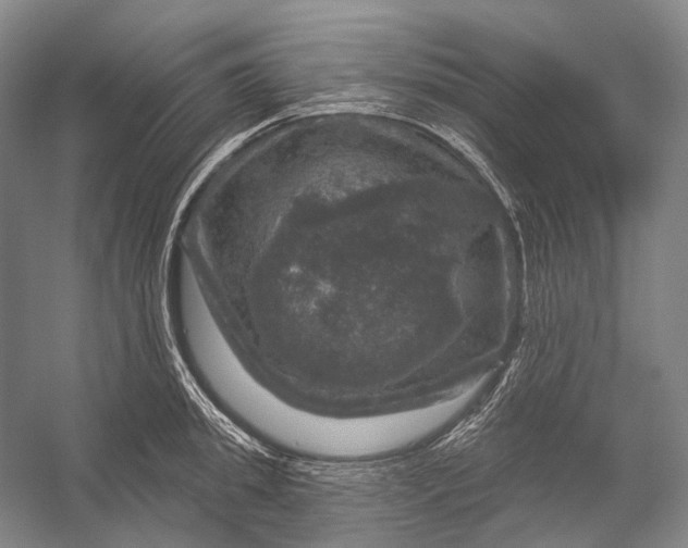 X0000056330949200509161706