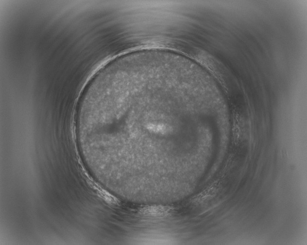 X0000056330950200509161706