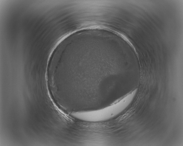 X0000056330951200509161706