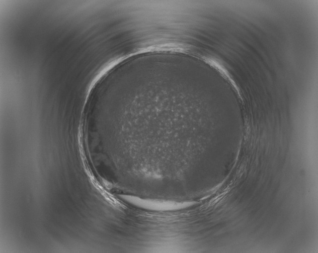 X0000056330952200509161706