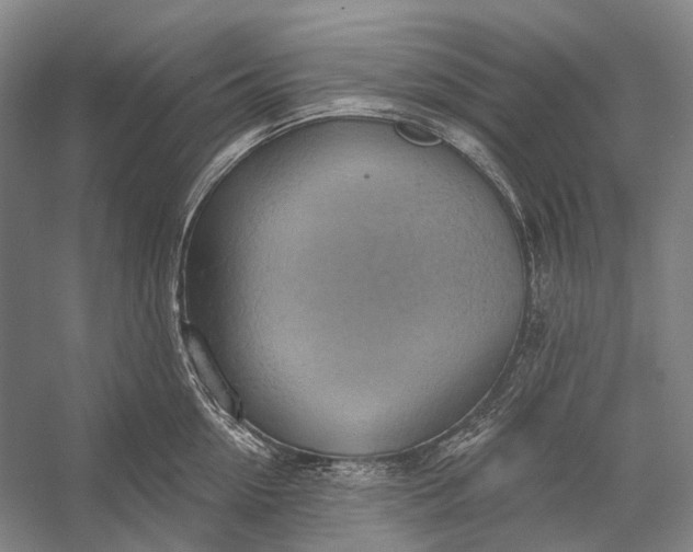 X0000056330954200509161706