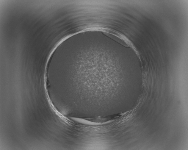 X0000056330955200509161706