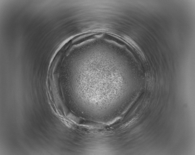 X0000056330956200509161706